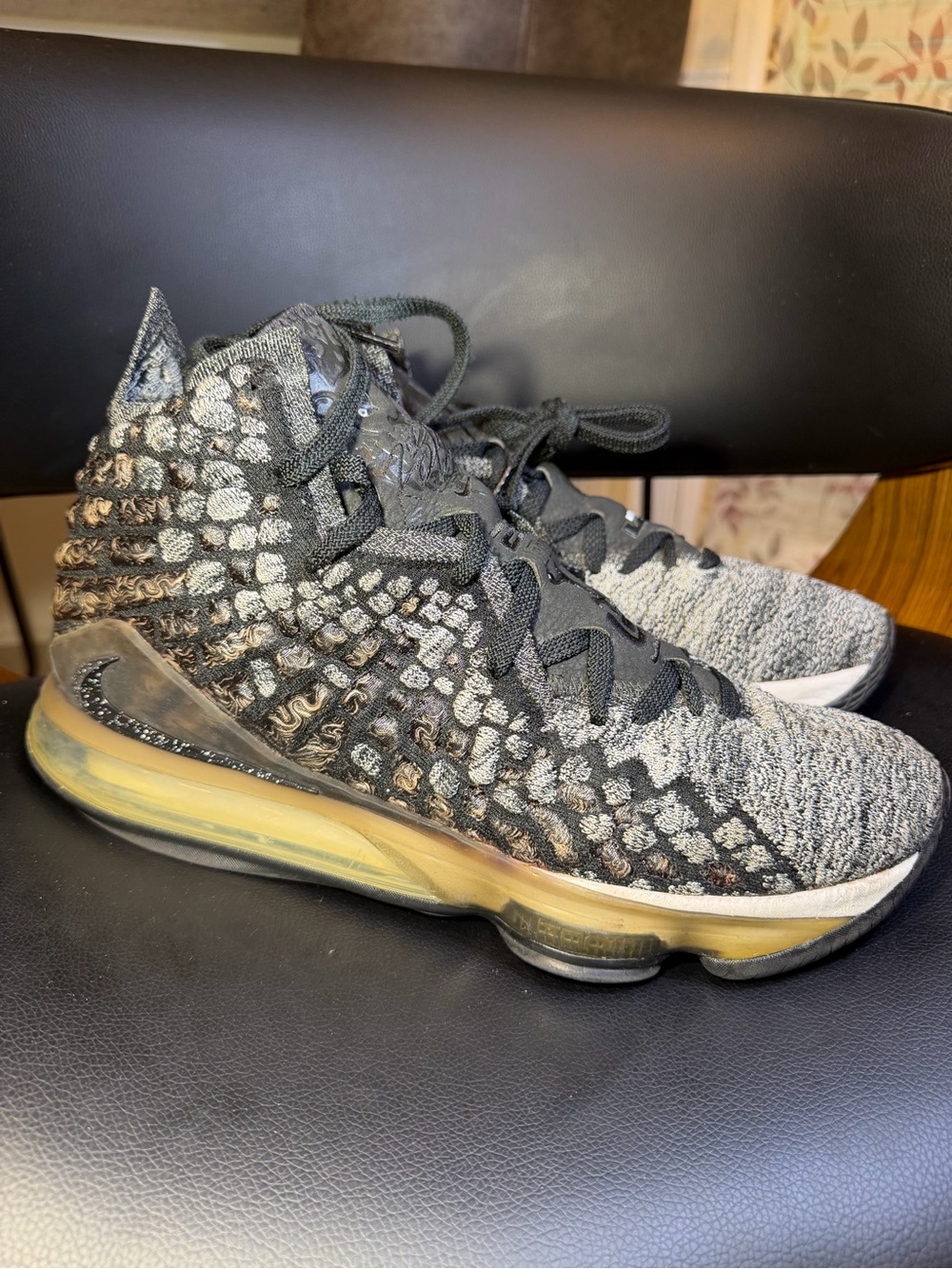 Size 12 - Nike LeBron 17 In The Arena